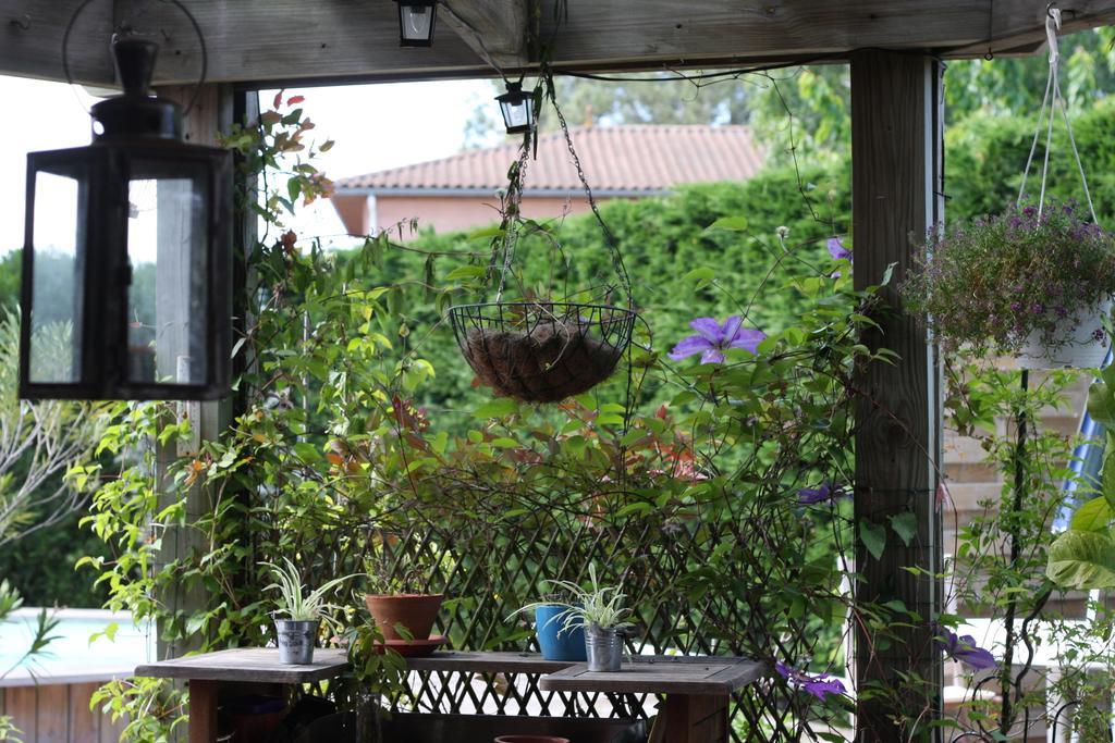 Calme Et Nature, Ba Gujan-Mestras Quarto foto